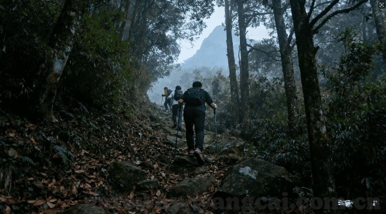 世界杯买球指南在哪看-世界杯买球指南，如何获取并解读这些信息