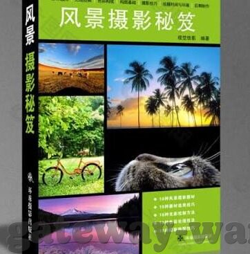 世界杯现场欢呼图片-世界杯现场欢呼图片，激情与梦想的瞬间定格